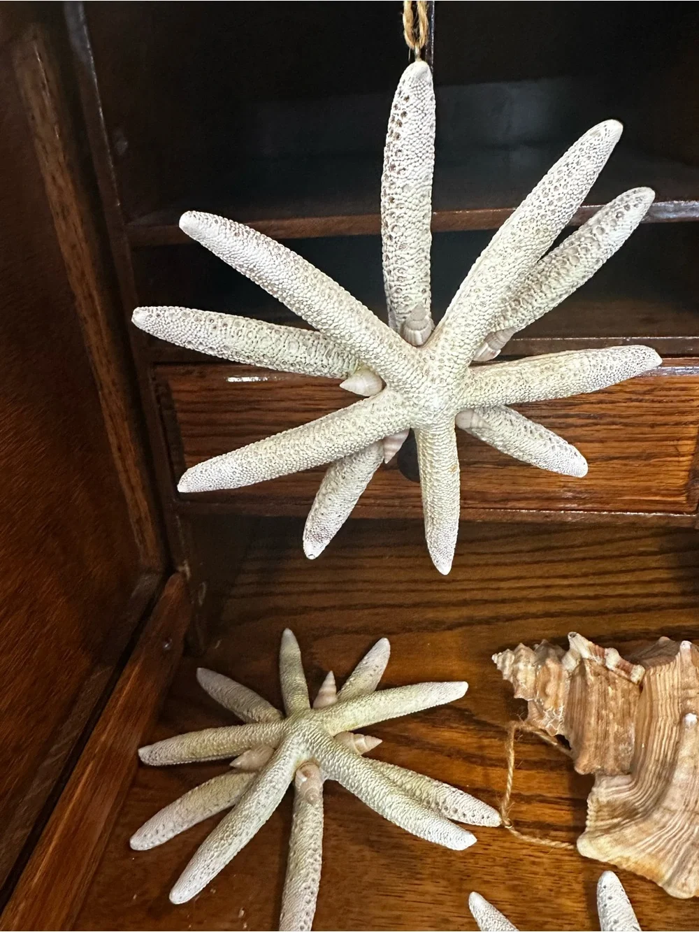Source Unknown bring beachy